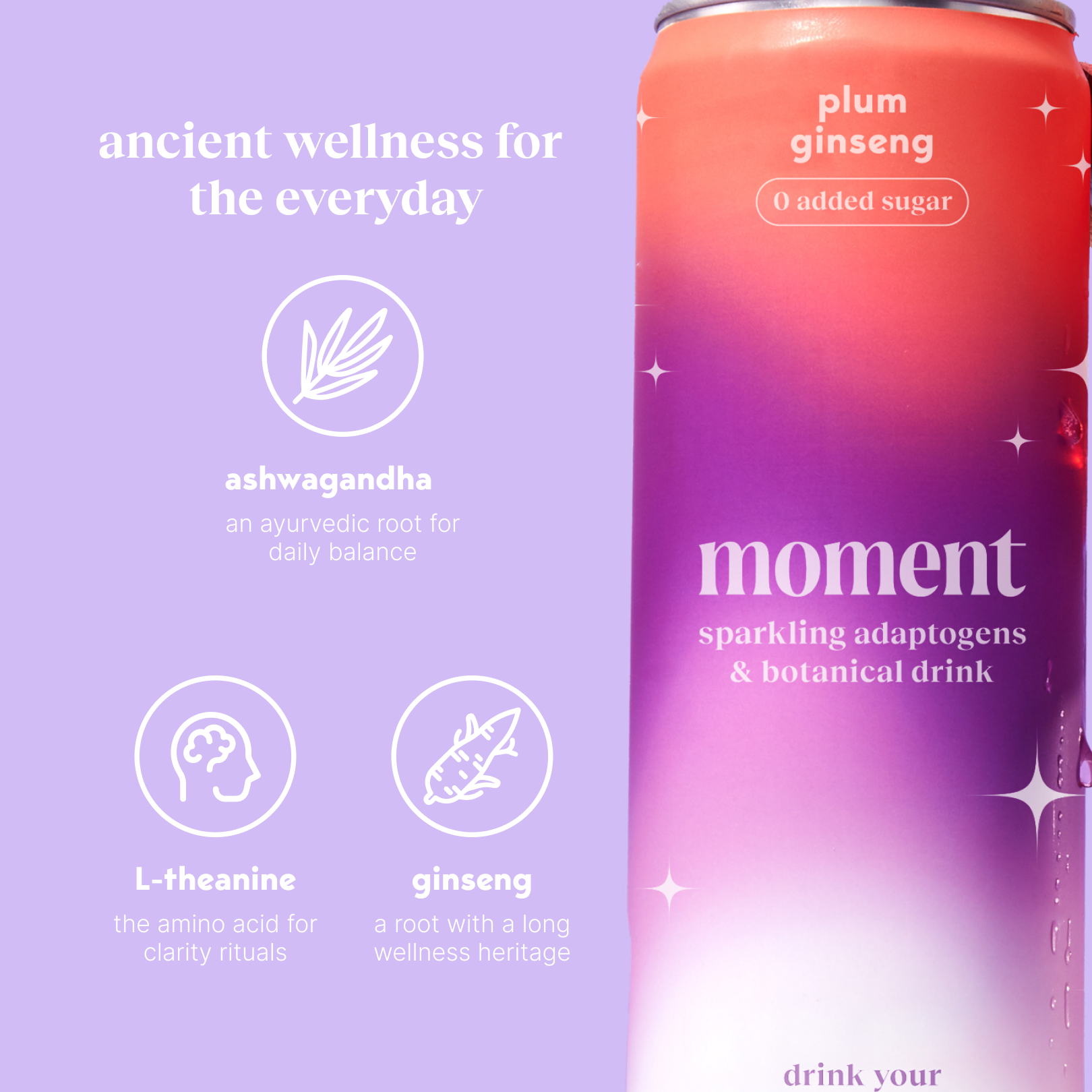 plum spritz (sparkling mocktail | 12 pack)