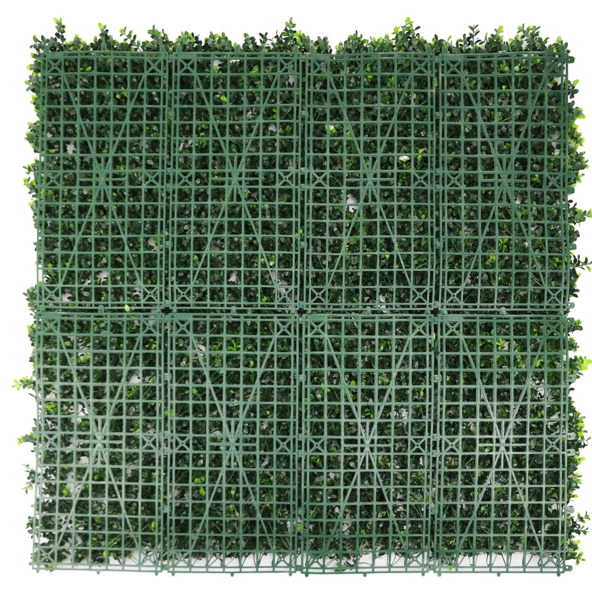 Sample Panel – White Flowering Boxwood Green Wall (Small Sample)