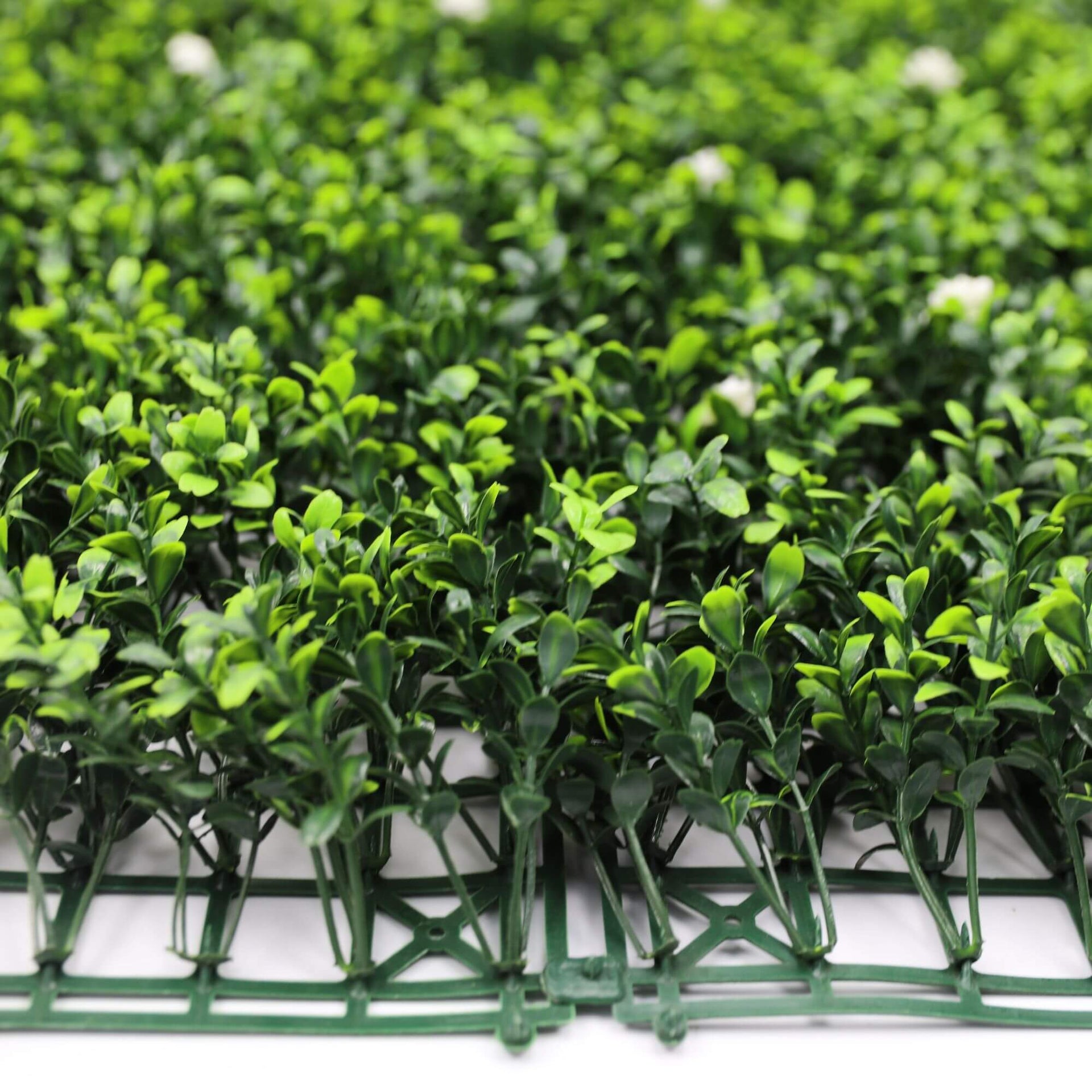 White Flowering Boxwood Artificial Vertical Garden Green Wall Panel 40×40in 11 SQ FT – UV Resistant – Commercial Grade