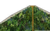 Foliascreen Standard Size 51.38