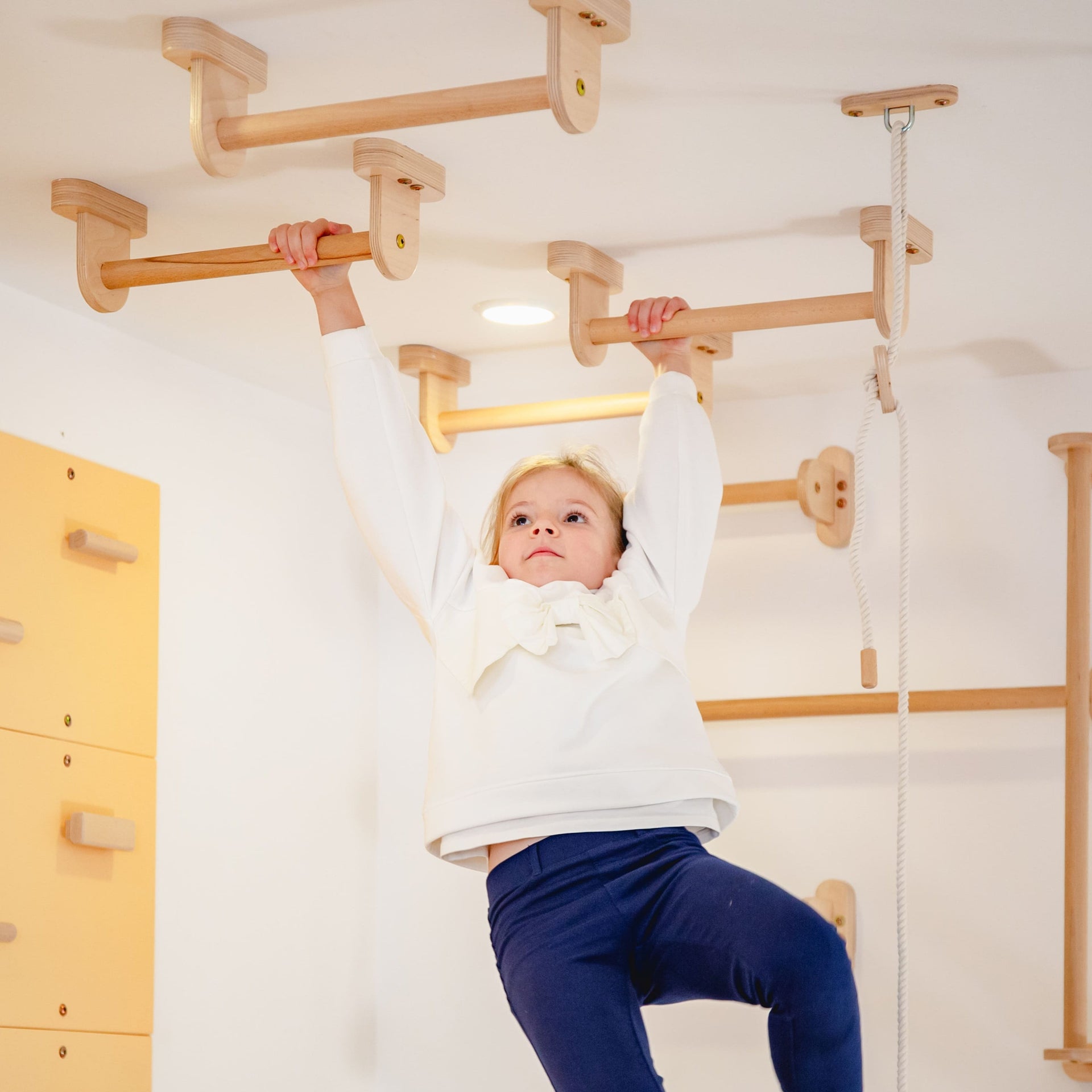 Monkey Bars Kit