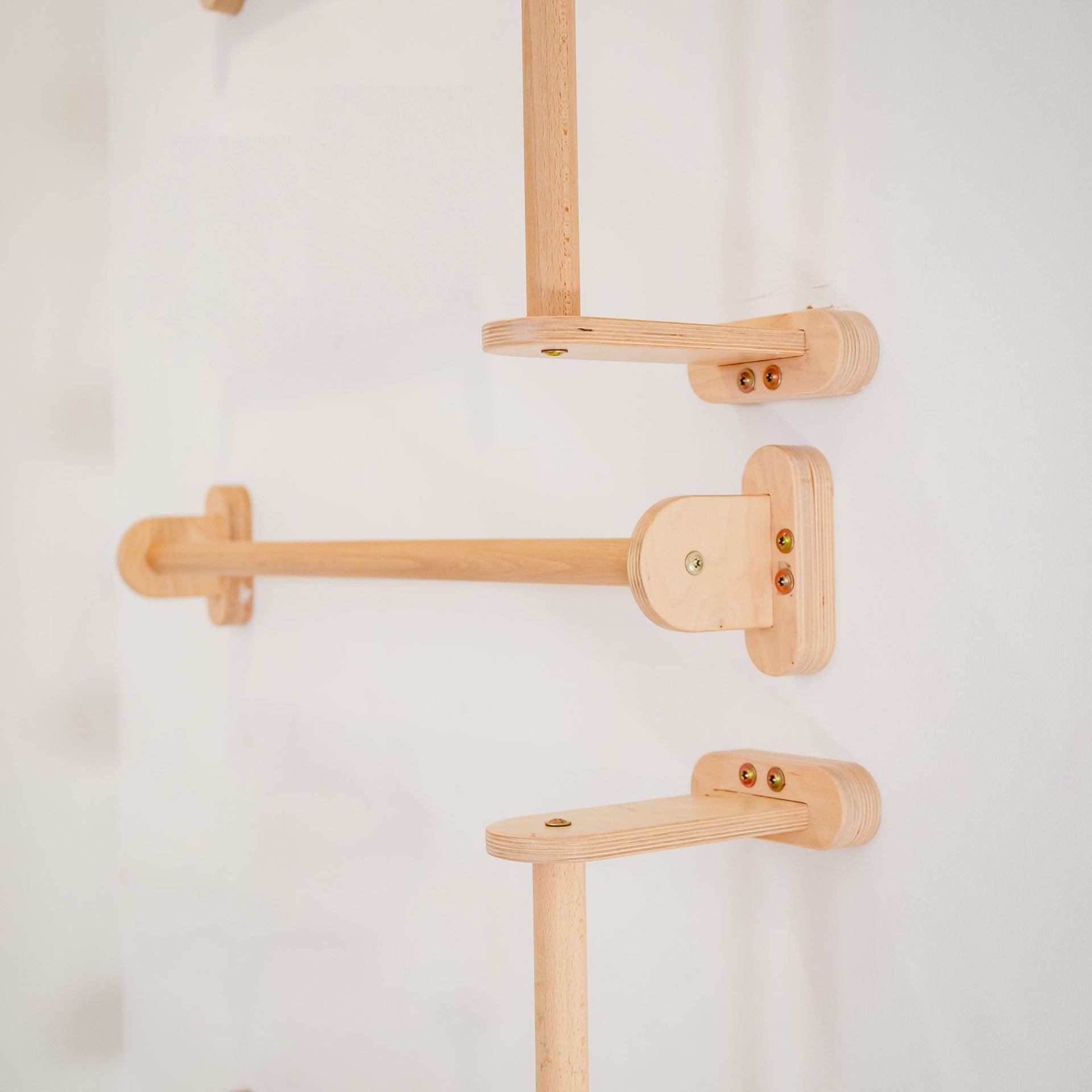 Home Monkey Bars