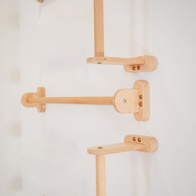 Home Monkey Bars