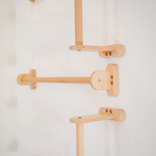Home Monkey Bars