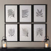 Framed Set of Fern Botanical Prints in Black and White (Set of 6)