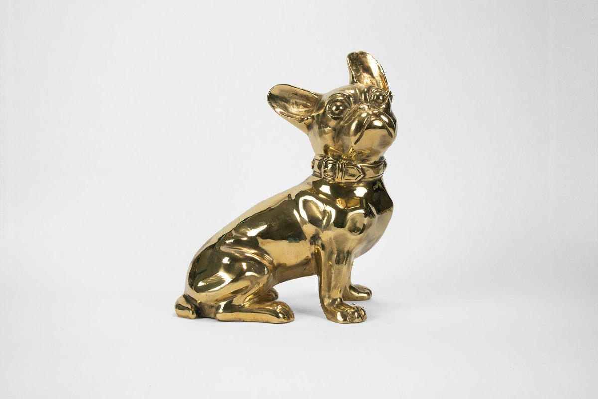 French Bulldog or 