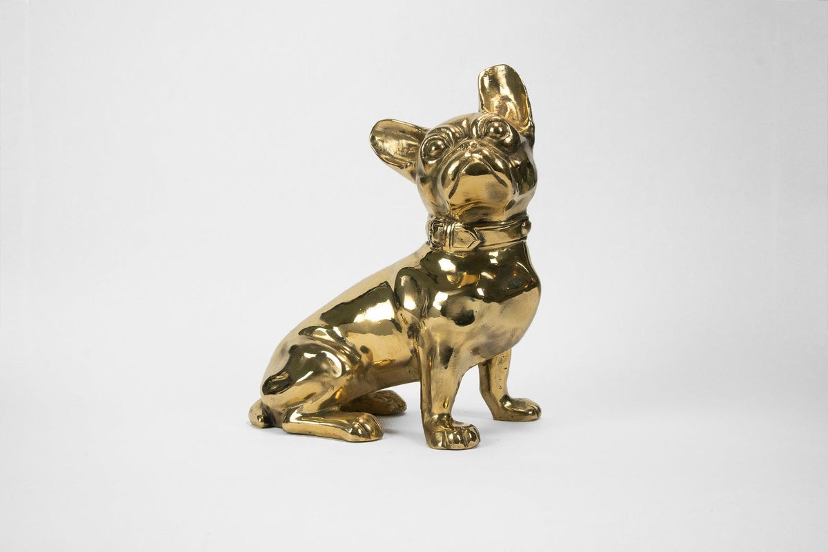 French Bulldog or 