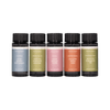 Fresh Scents Pro-Pod™ Discovery Set