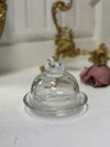 Glass Bird Cloche