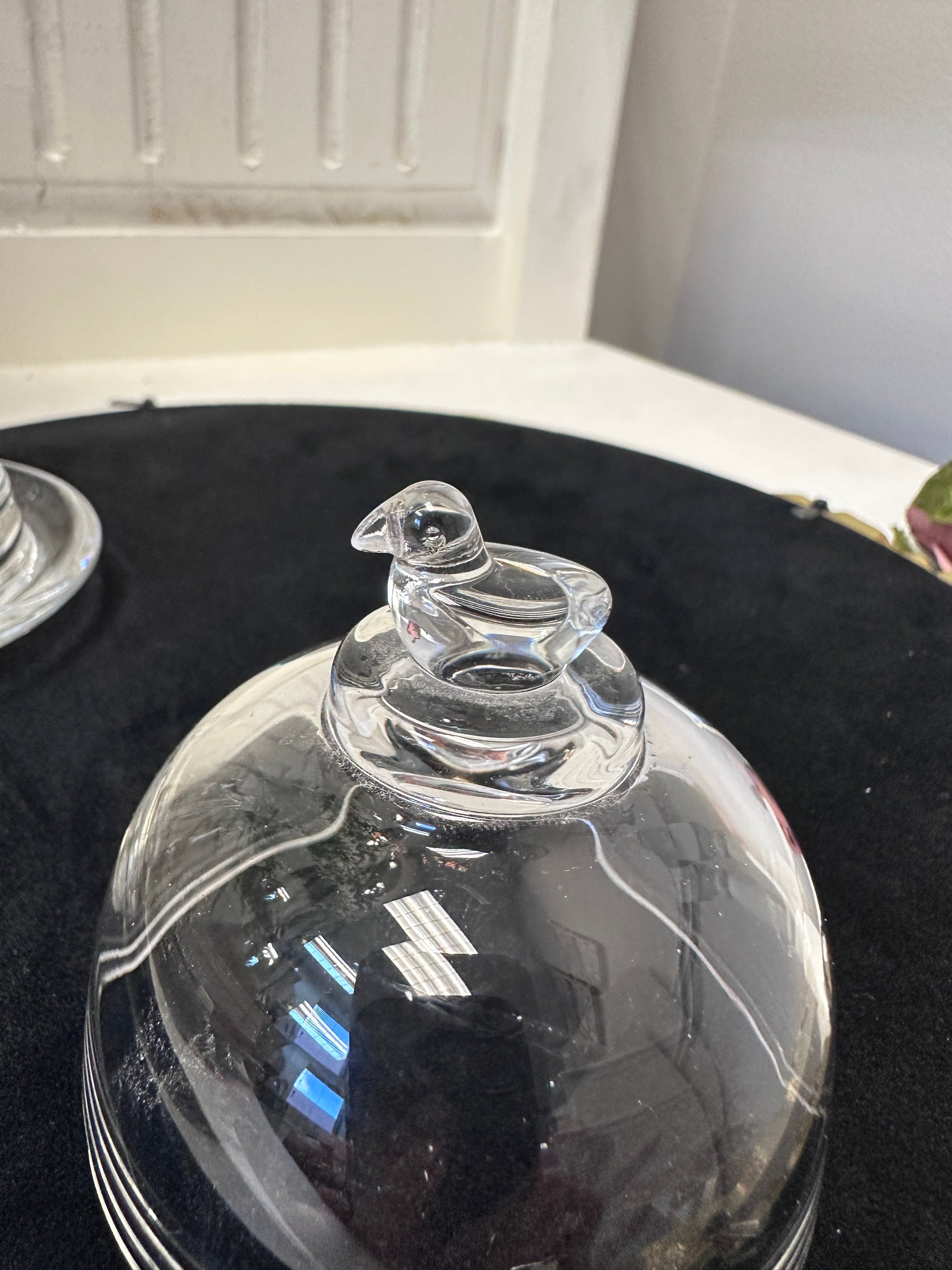 Glass Bird Cloche