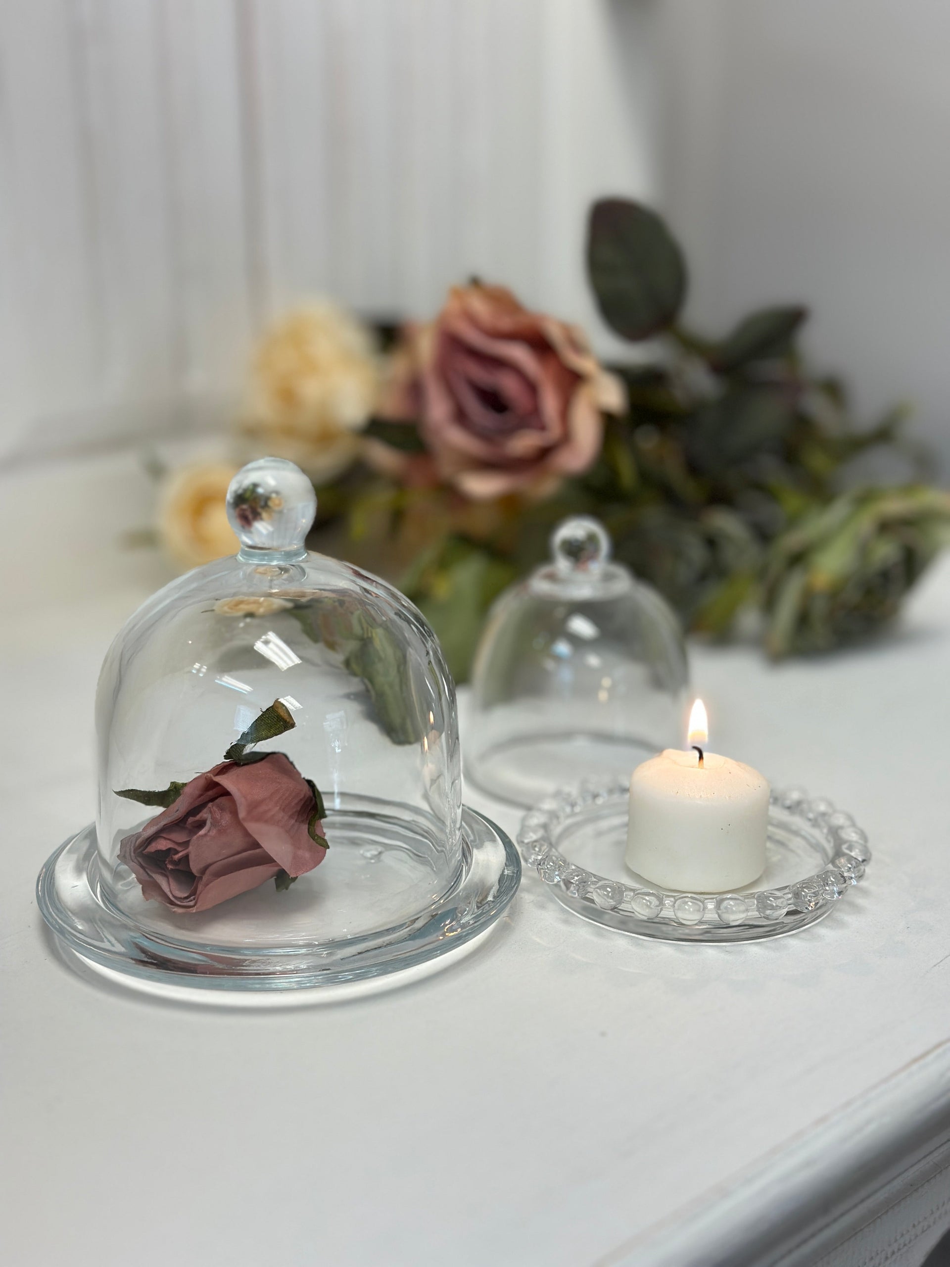 Glass Dome Display Cloche with Base