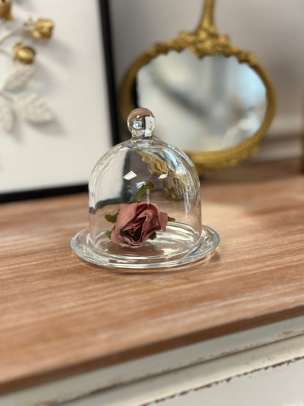 Glass Dome Display Cloche with Base