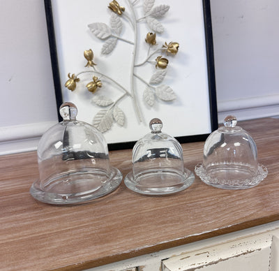 Glass Dome Display Cloche with Base
