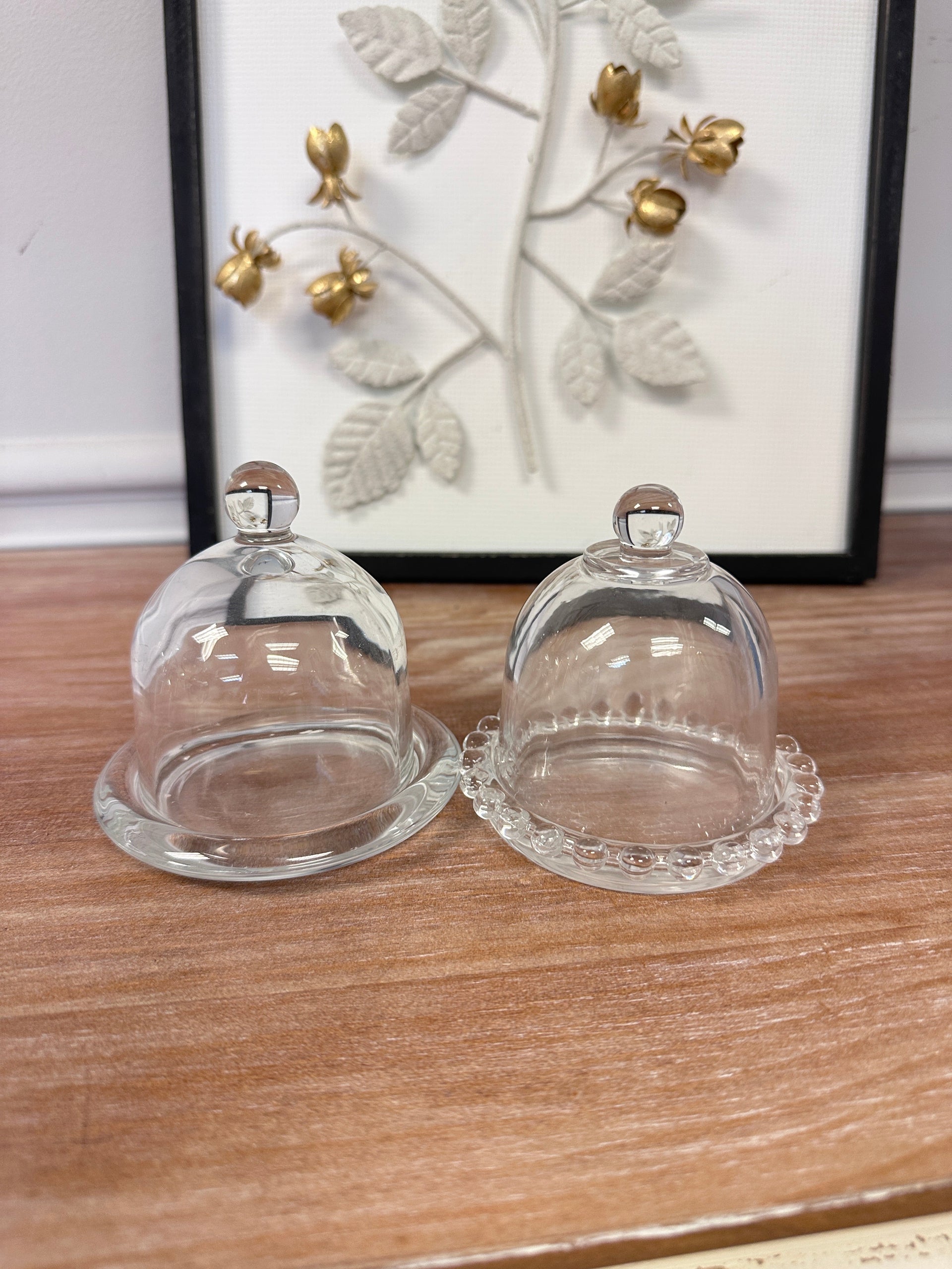 Glass Dome Display Cloche with Base