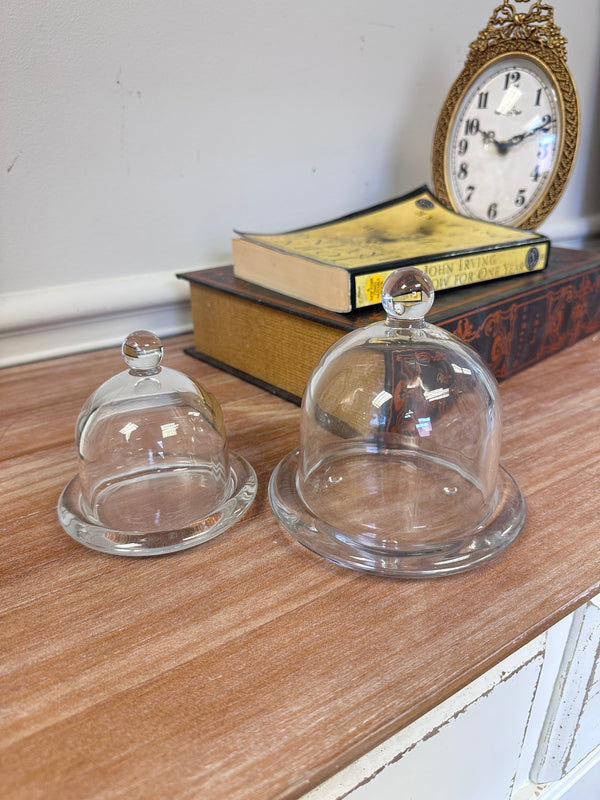Glass Dome Display Cloche with Base