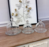 Glass Dome Display Cloche with Base