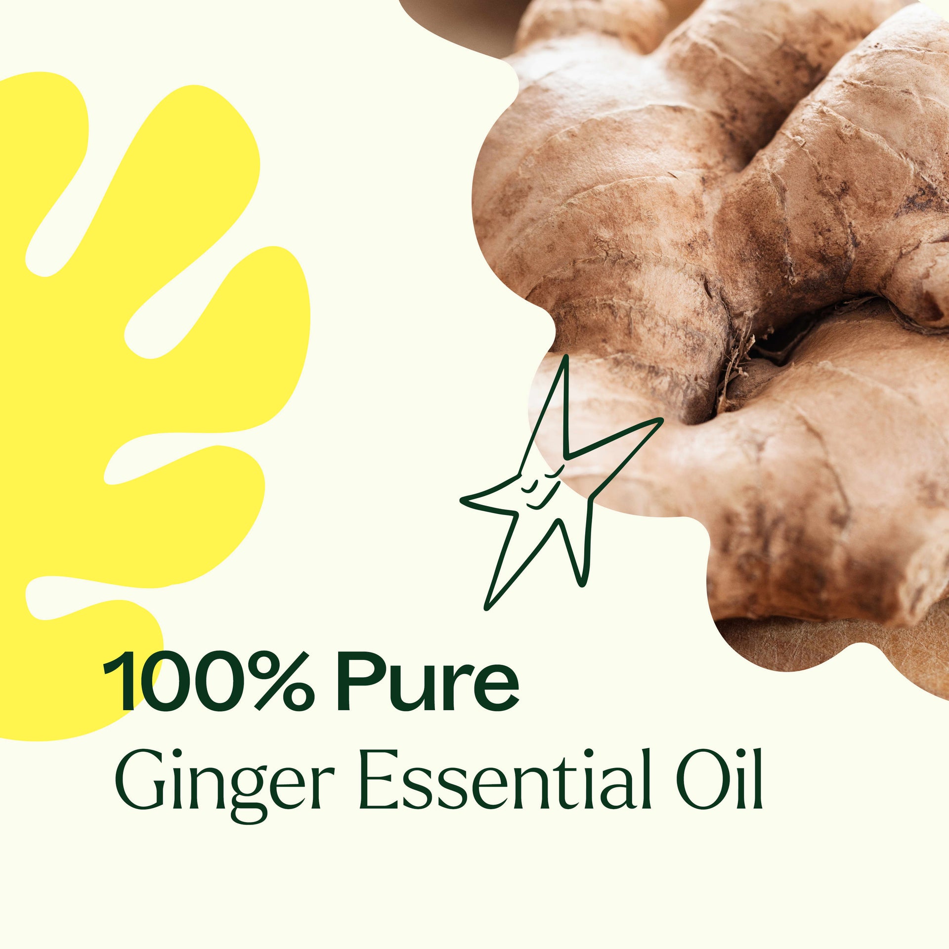 Ginger Essential Oil