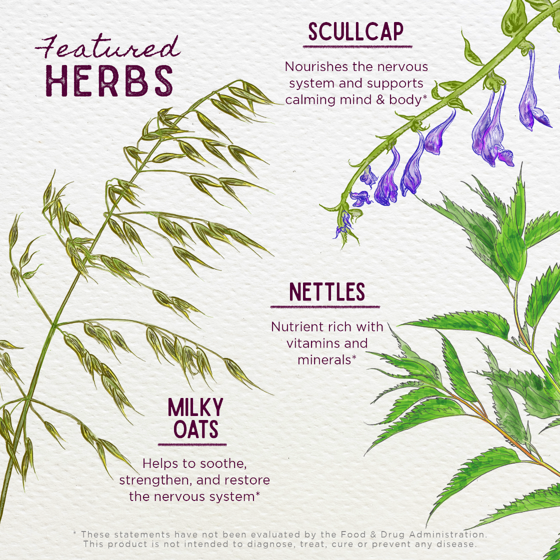 Illustration of herbs with text describing their benefits on a light background
