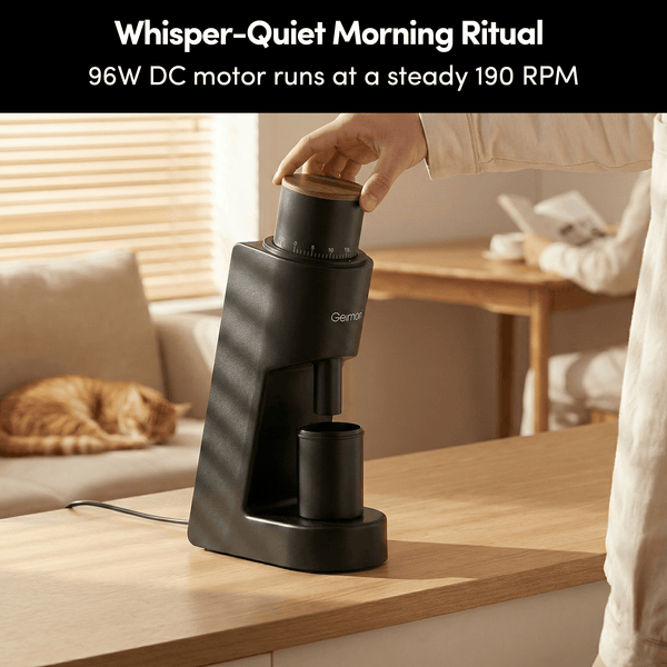 Geimori GU38 Single Dose Coffee Grinder, Electric Burr Coffee Grinder with 38mm Conical Burrs, Stepless Adjustment, Zero Retention