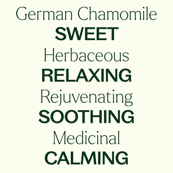German Chamomile Essential Oil