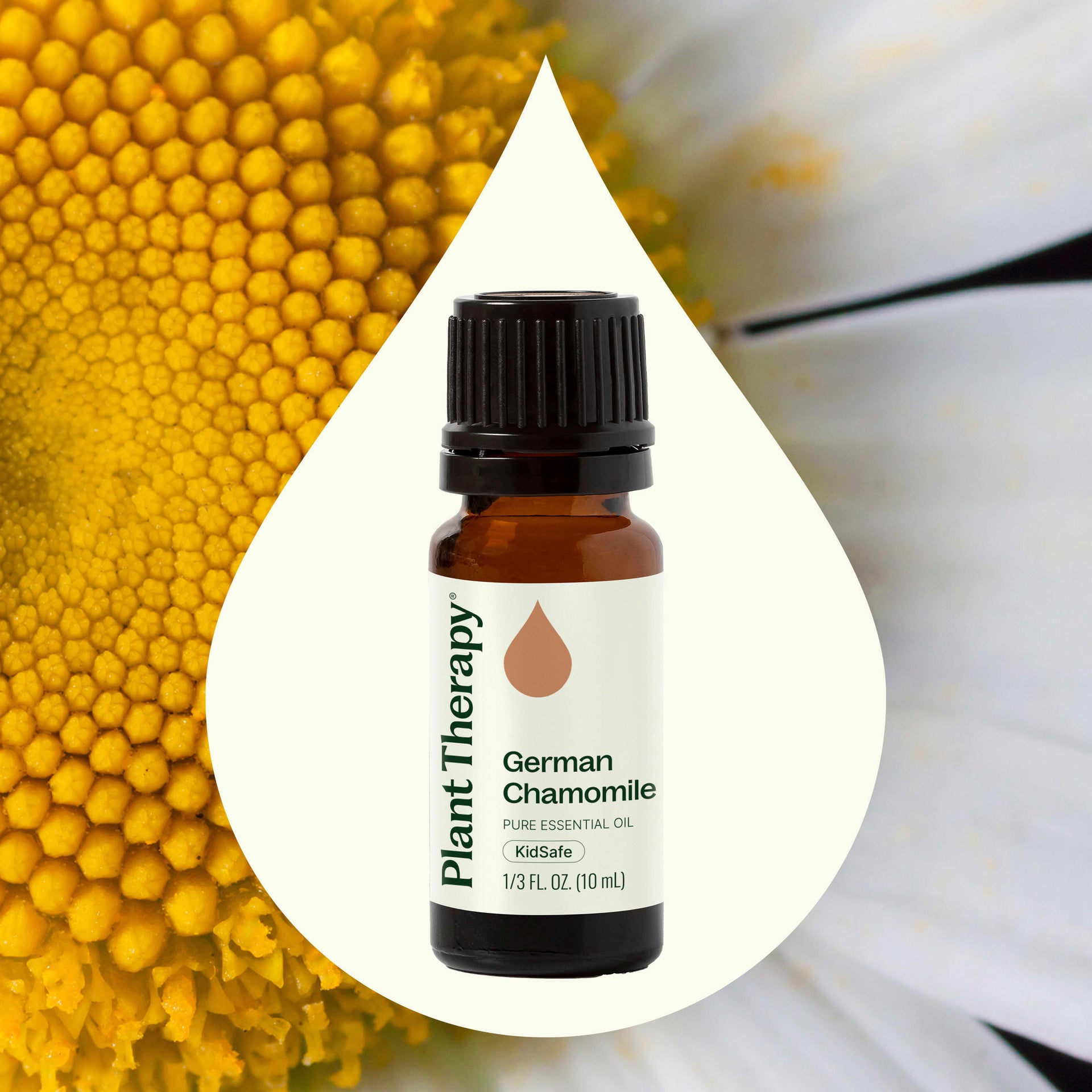 German Chamomile Essential Oil
