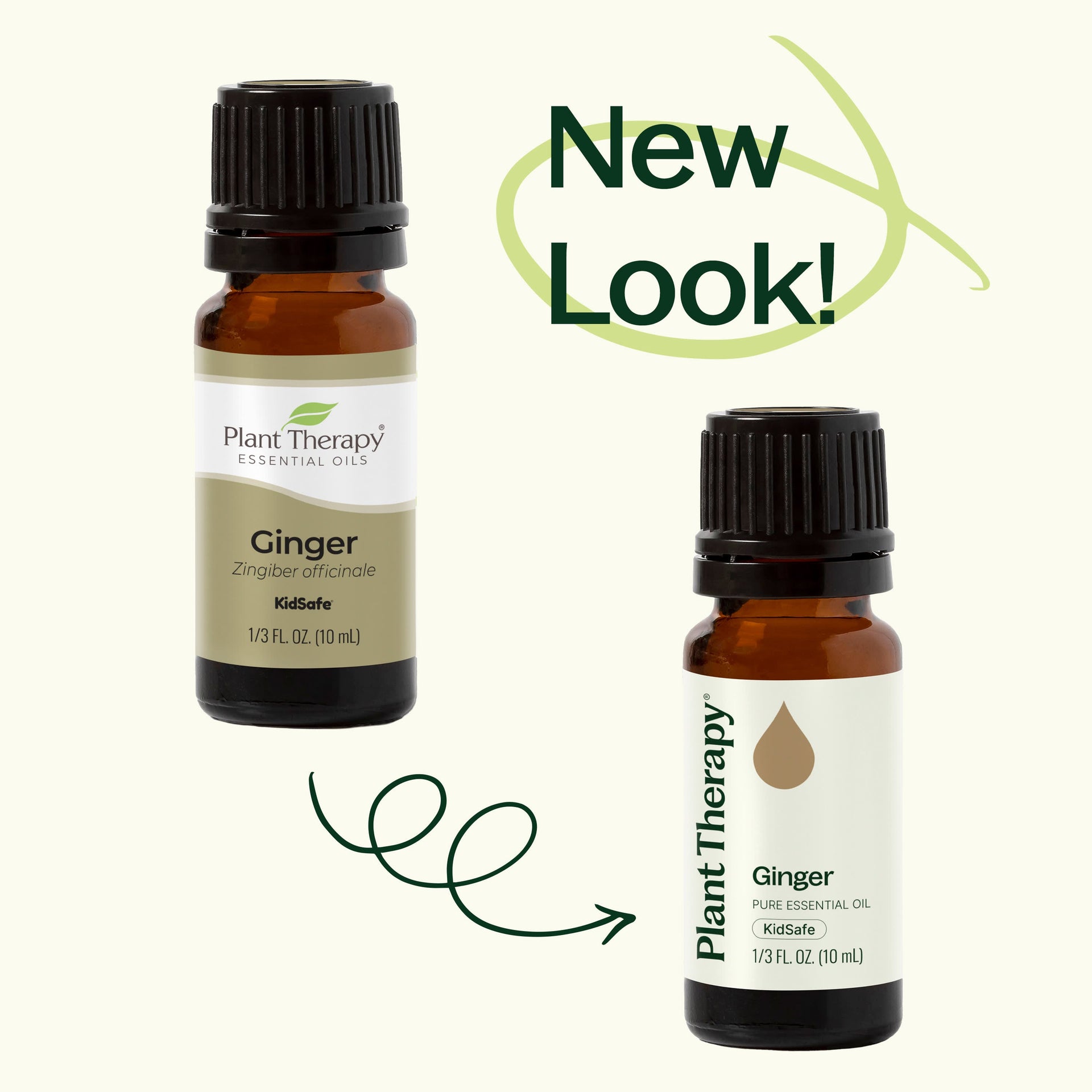 Ginger Essential Oil