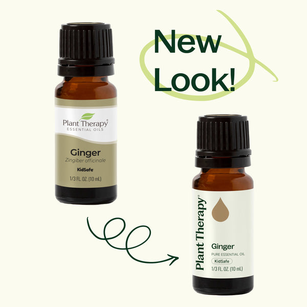 Ginger Essential Oil