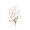 Gingko Wall Lamp