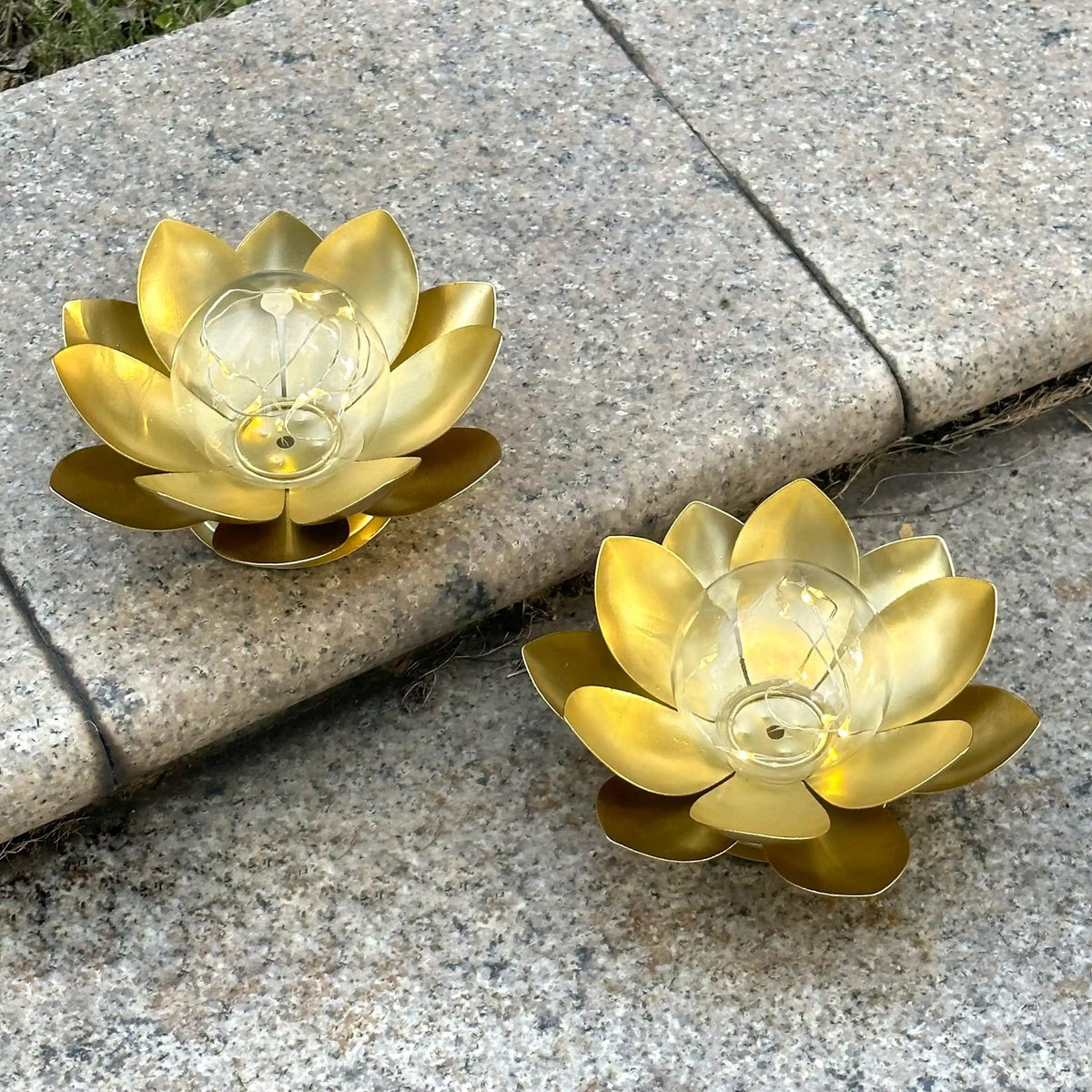 Set of 2-D6