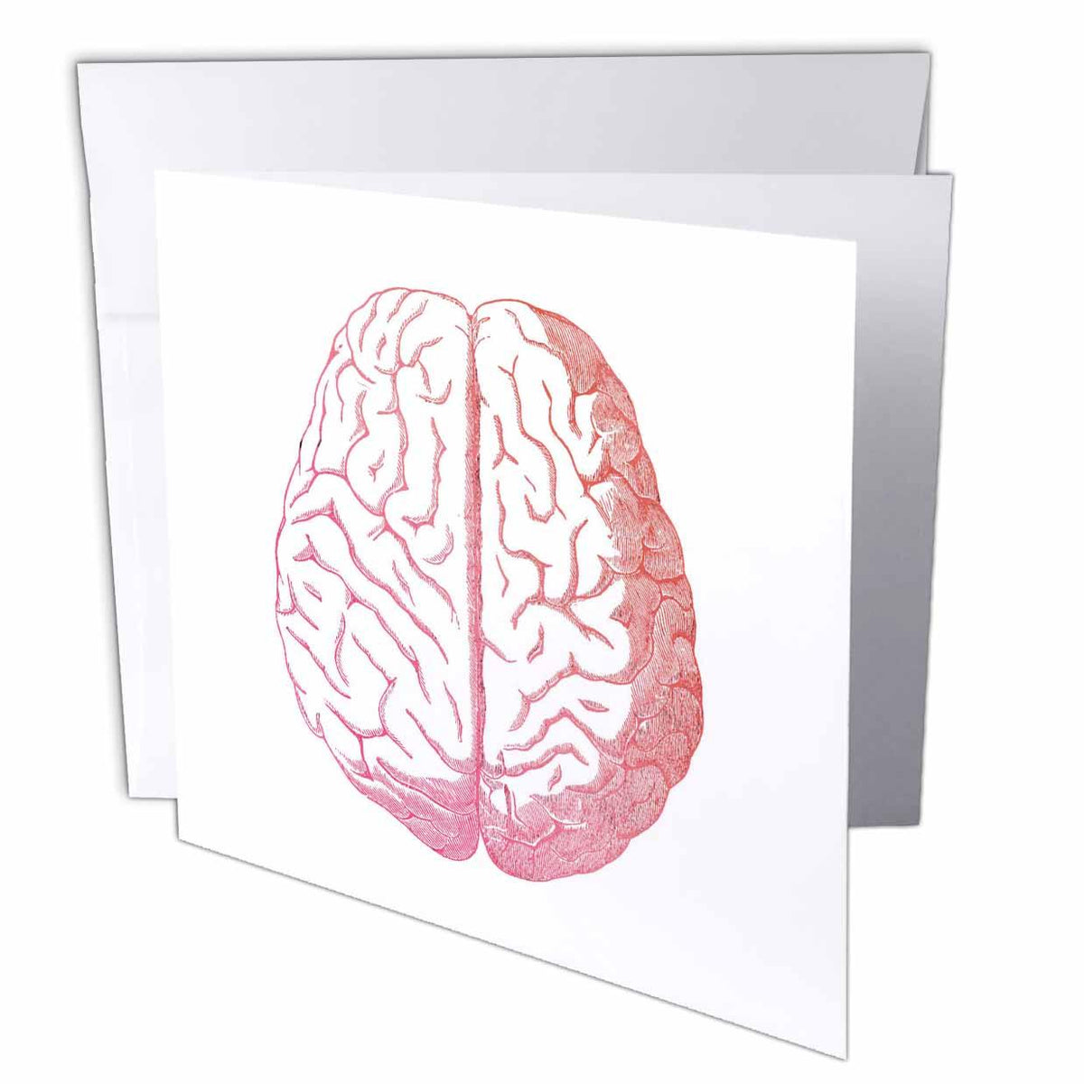 3dRose TNMGraphics Anatomy - Pink Brain - Greeting Cards (gc_62702)