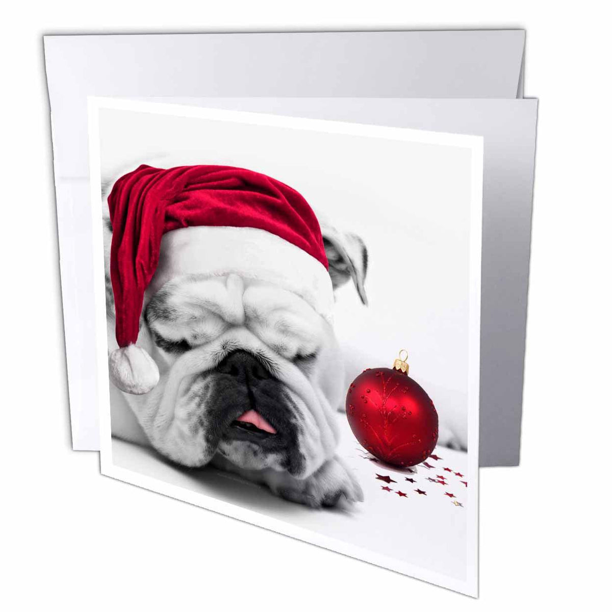 3dRose Doreen Erhardt Christmas Collection - Sleeping Bulldog in a Santa Hat Christmas Card photo courtesy of Esther Matheus - Greeting Cards (gc_62826)