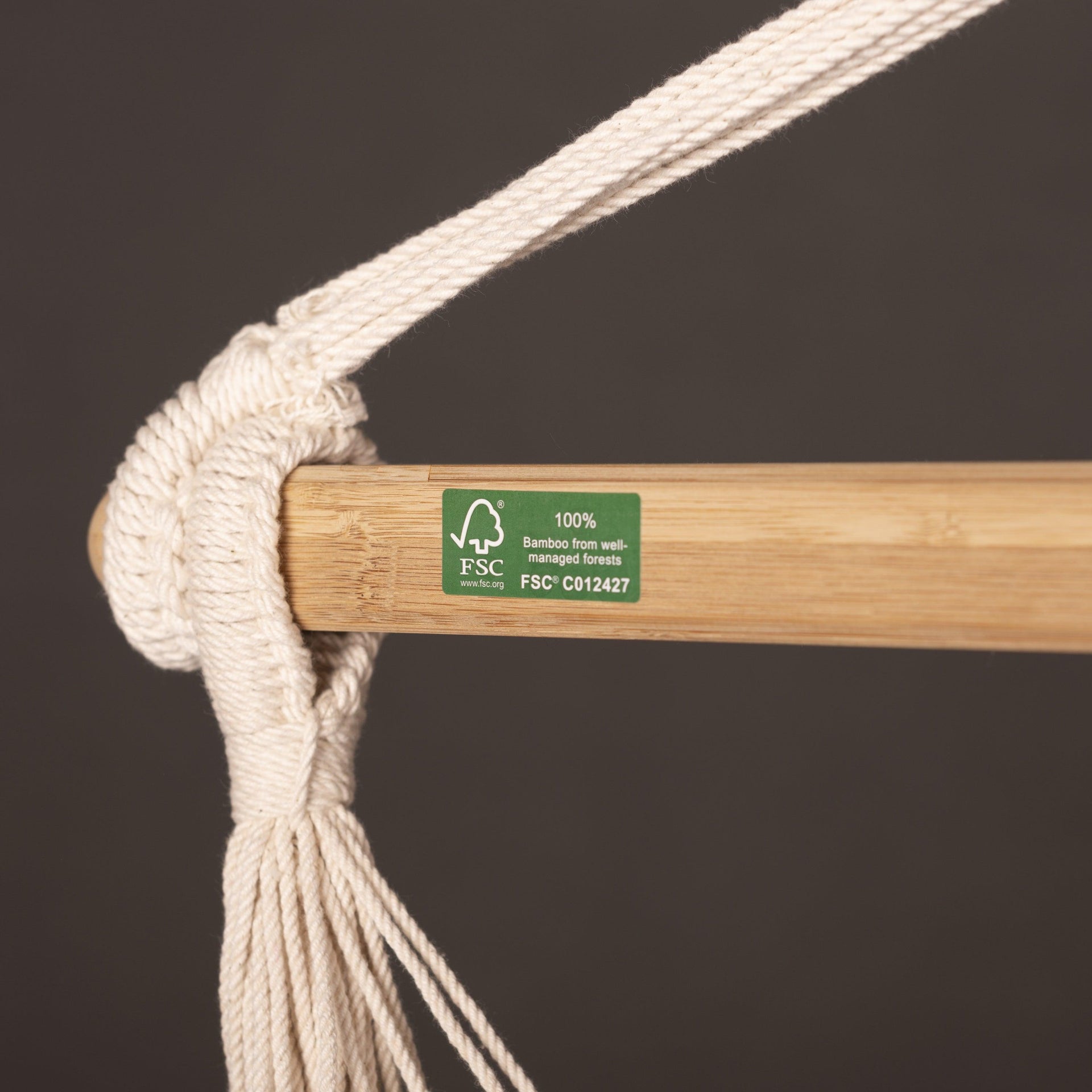 Habana Latte - Organic Cotton Kingsize Hammock Chair