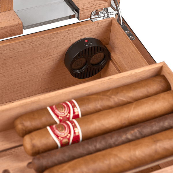 Cigar Humidor