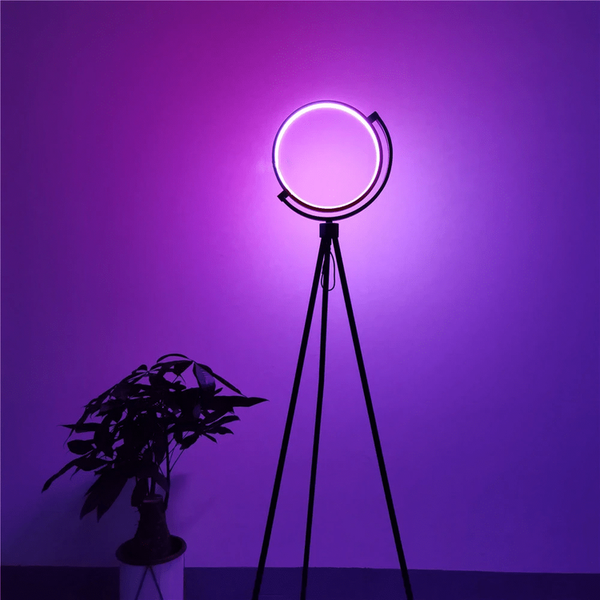 Halo Color Changing Lamp Iluminating