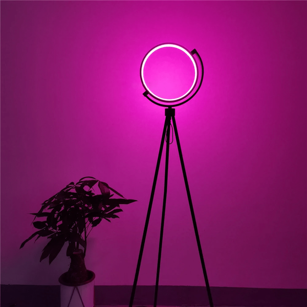 Halo Color Changing Lamp Iluminating