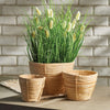 Handwoven Small Rattan Basket Planters (Set of 3)