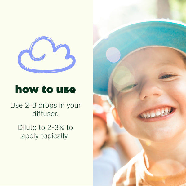 Happy Place Essential Oil