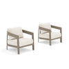 PEAKHOME Harmonti Outdoor Aluminum Club Chair With Cushions Set of 2