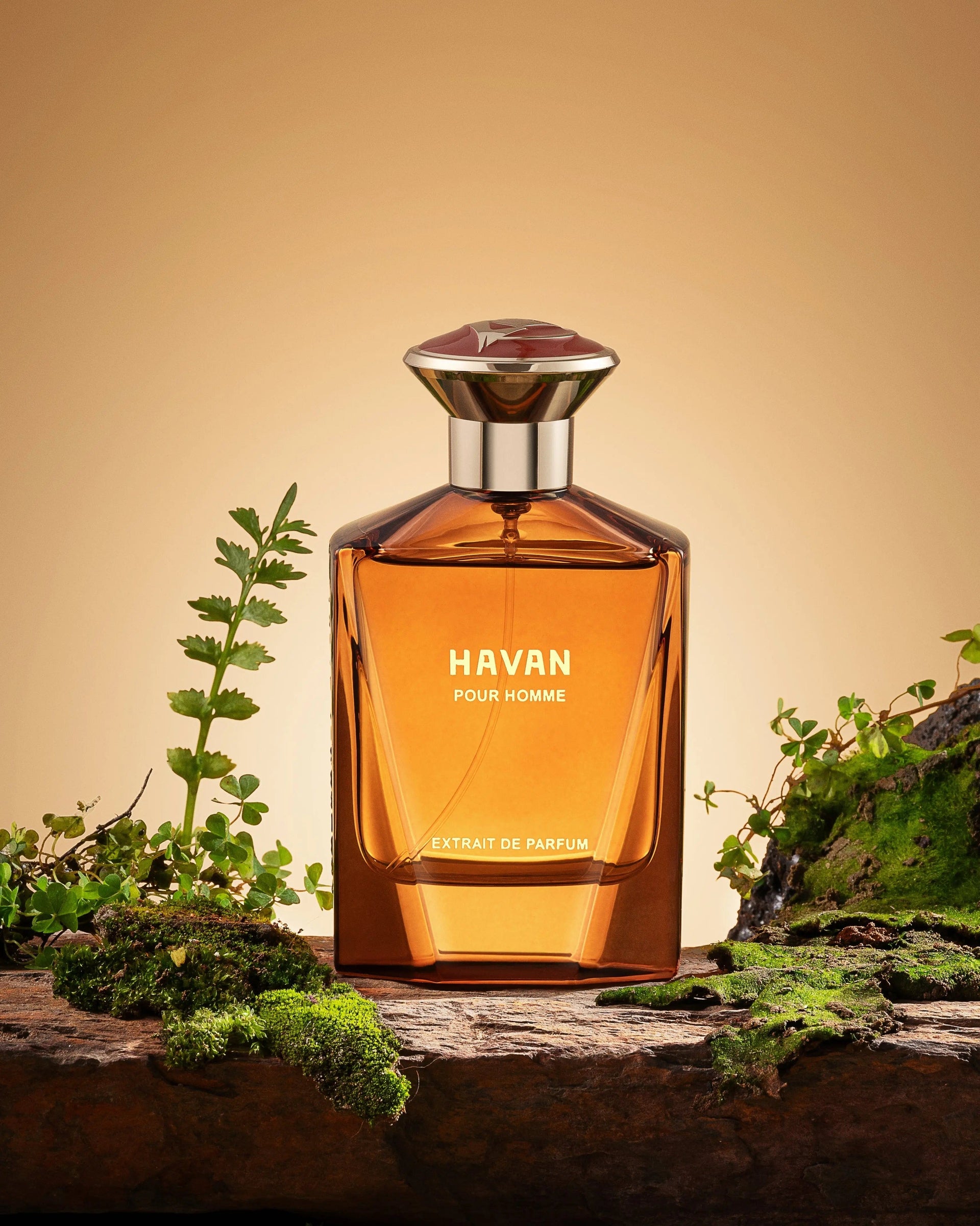 Fragrance Story Havan EDP – Men’s 3.4oz Spray