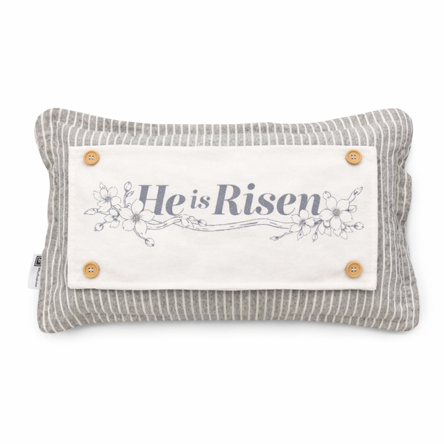 PILLOW ONLY (with fluffy insert): Galvinized Charcoal/Cream Farm Stripes: RECTANGLE CREAM/ DARK CHARCOALSTRIPES PILLOW (with insert)