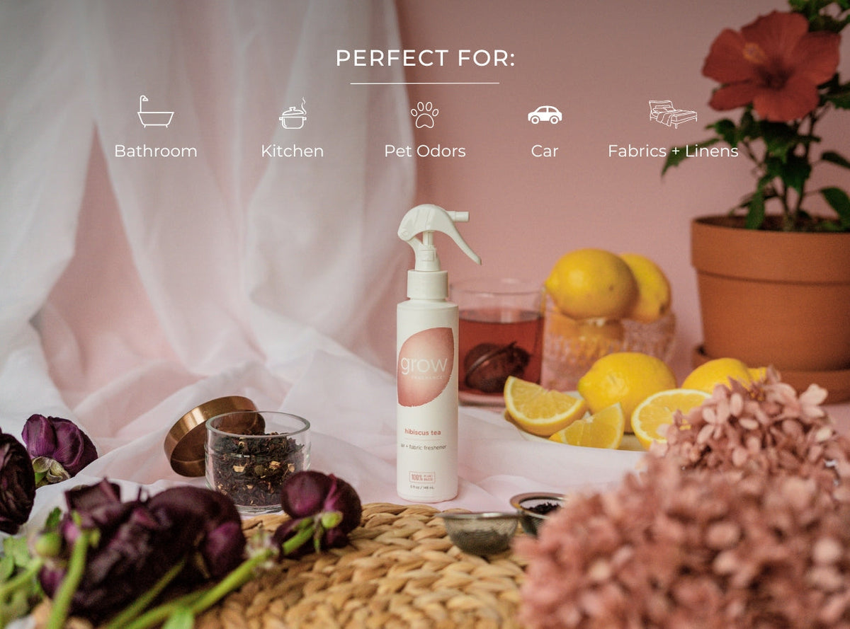 Hibiscus Tea Air + Fabric Spray