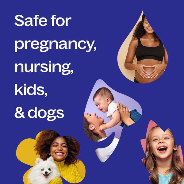 Higher Connection (Crown Chakra) Essential Oil