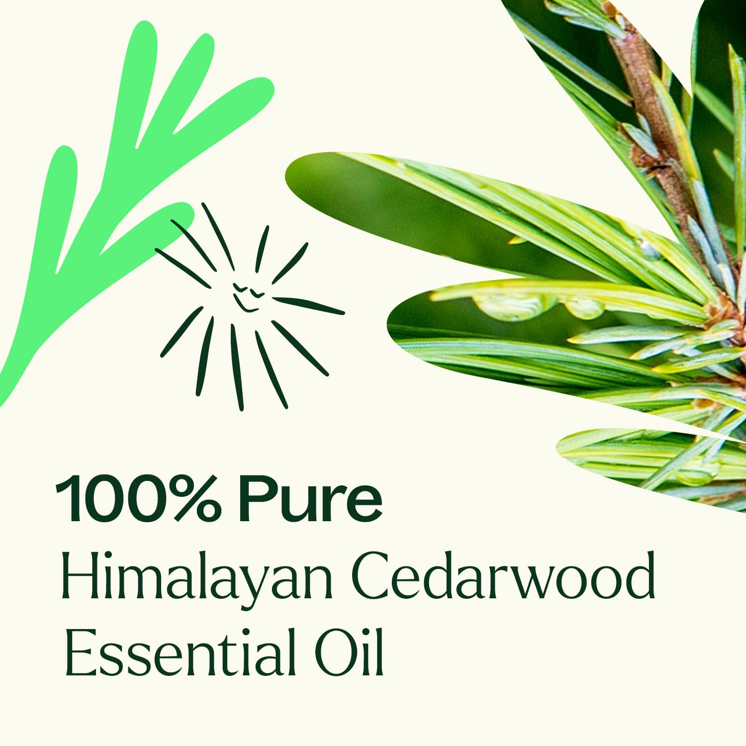 Himalayan Cedarwood Essential Oil