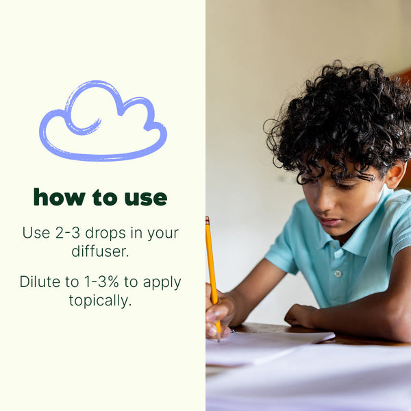 Hocus Focus Essential Oil Blend