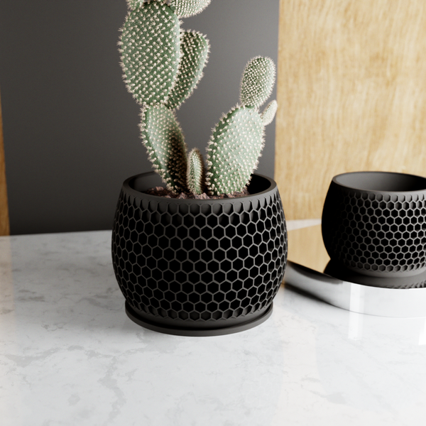 Black honeycomb-patterned planters with a cactus on a marble surface.