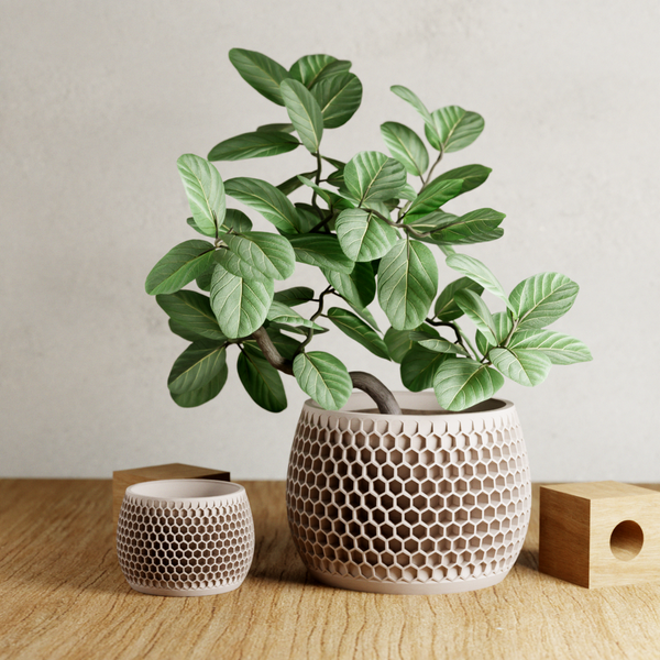 Potted plant with a textured pot on a wooden surface