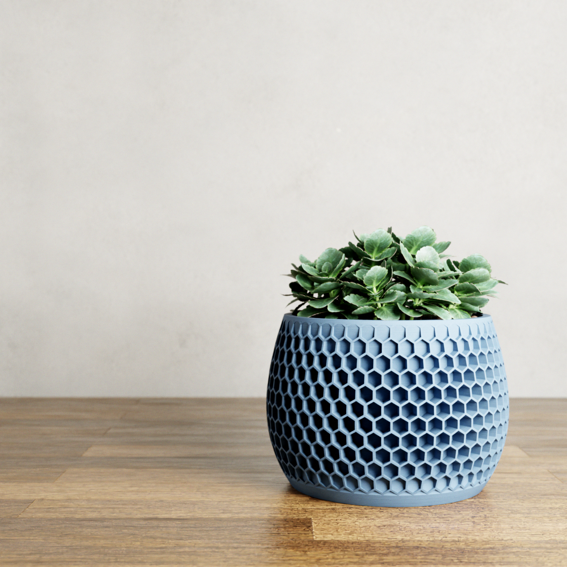 Blue honeycomb-patterned pot with succulents on a wooden surface