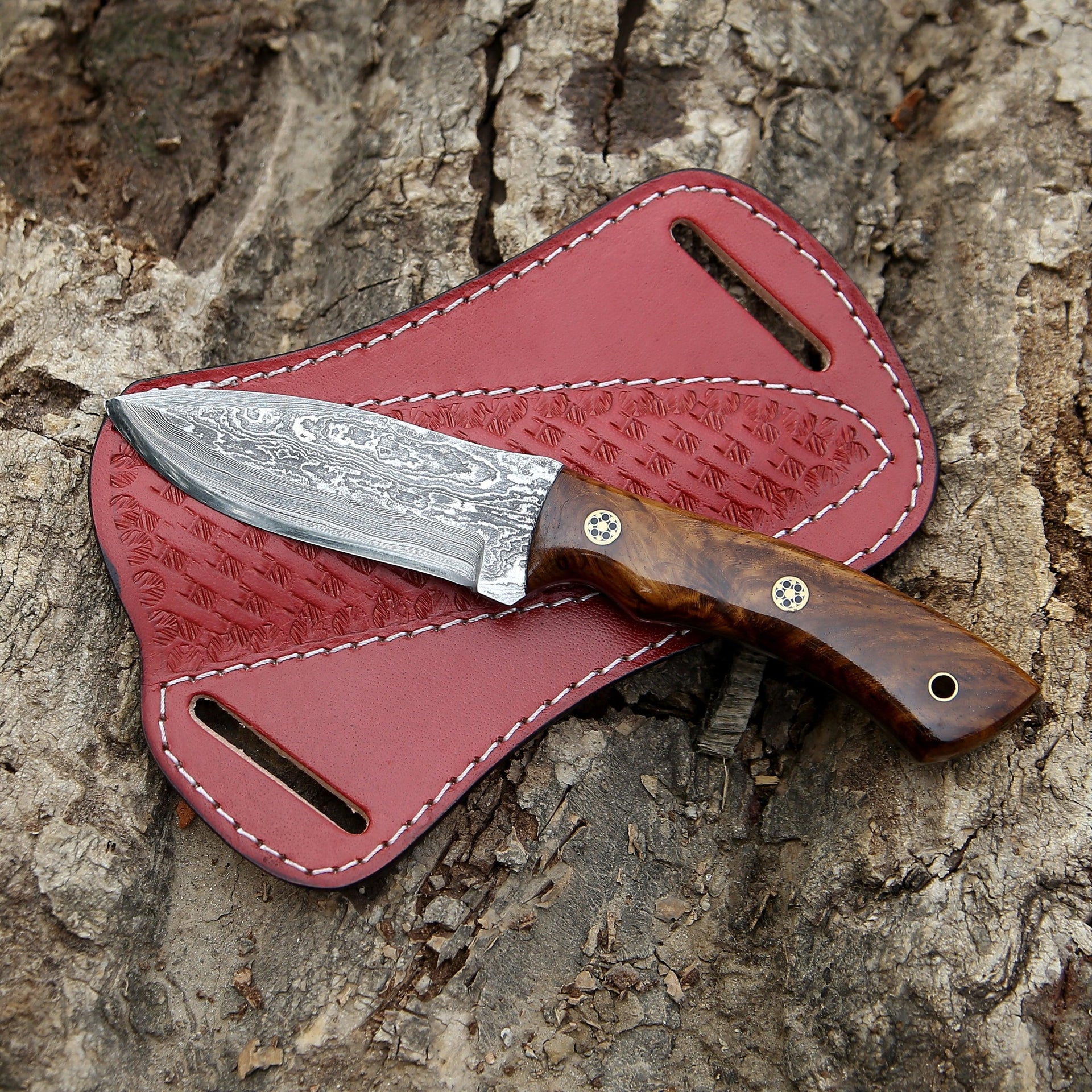 Skypiercer Damascus Steel Knife with Leather Sheath