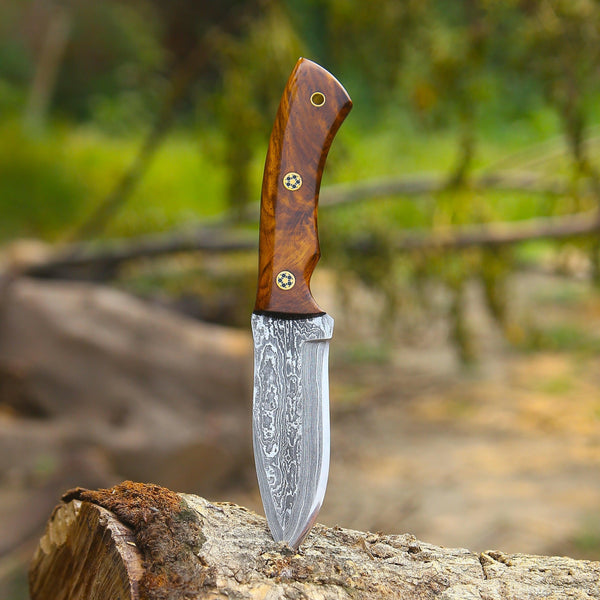 Skypiercer Damascus Steel Knife with Leather Sheath
