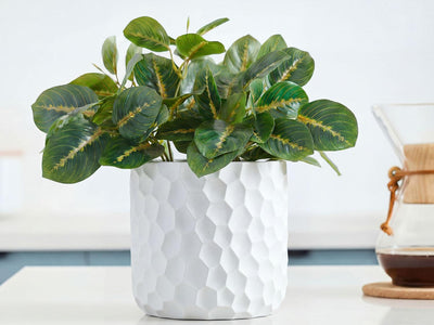 Art Decor Honeycomb Planter By Plantatorem